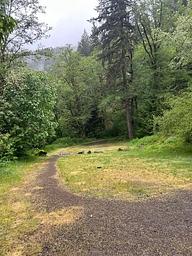 Path around campground