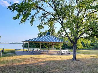 Oak (Navarro Mills Lake)