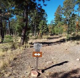 Rim Lakes Vista Trail
