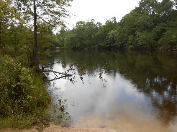Bluff Springs