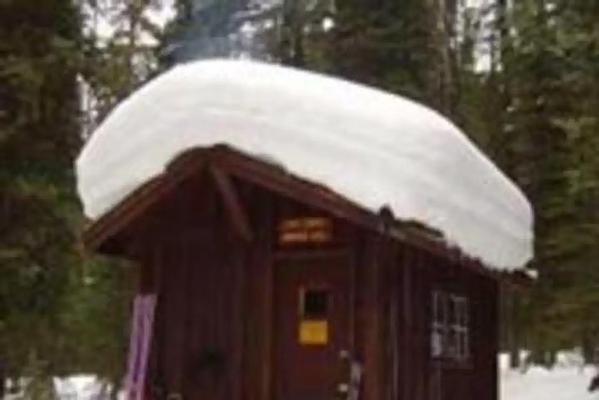001, Loop: AREA FOX CREEK CABIN