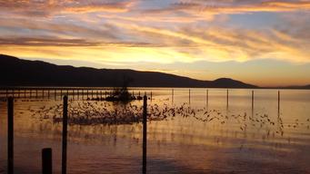 The Aurora RV Park