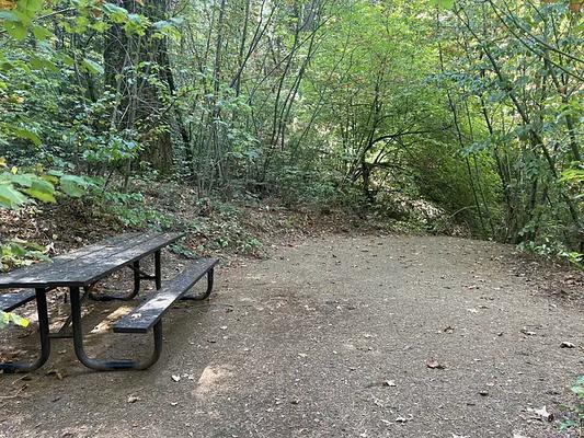 GA1, Loop: Bridal Veil Picnic Grounds