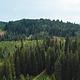 Monte Cristo Campground