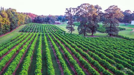 Landry Vineyards Cottages & RV Sites
