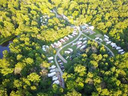 Camp Buckwood