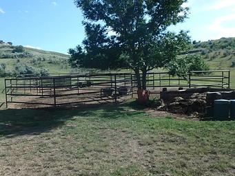 The four rectangular corrals at the site