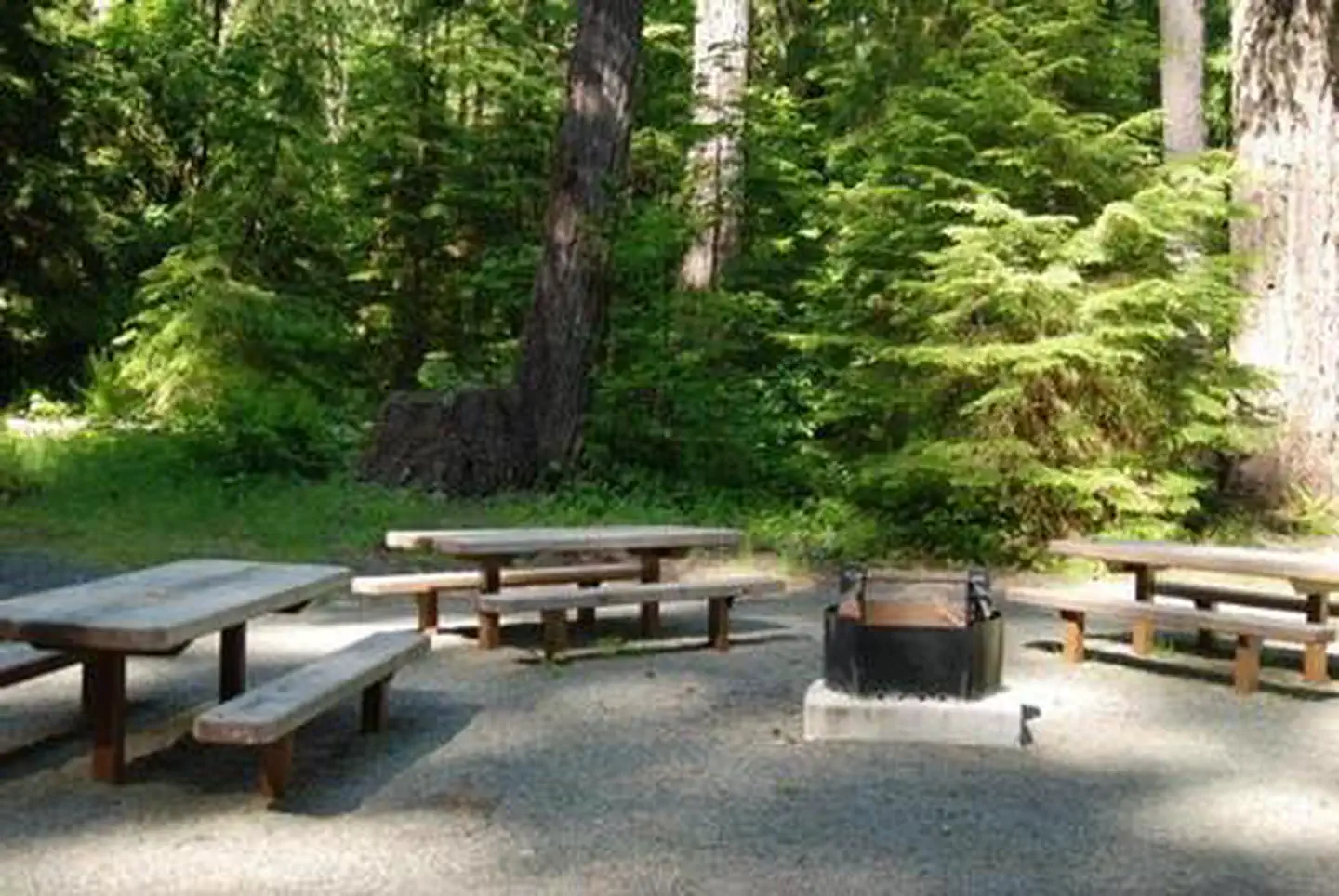 North Fork Elk Group Camp