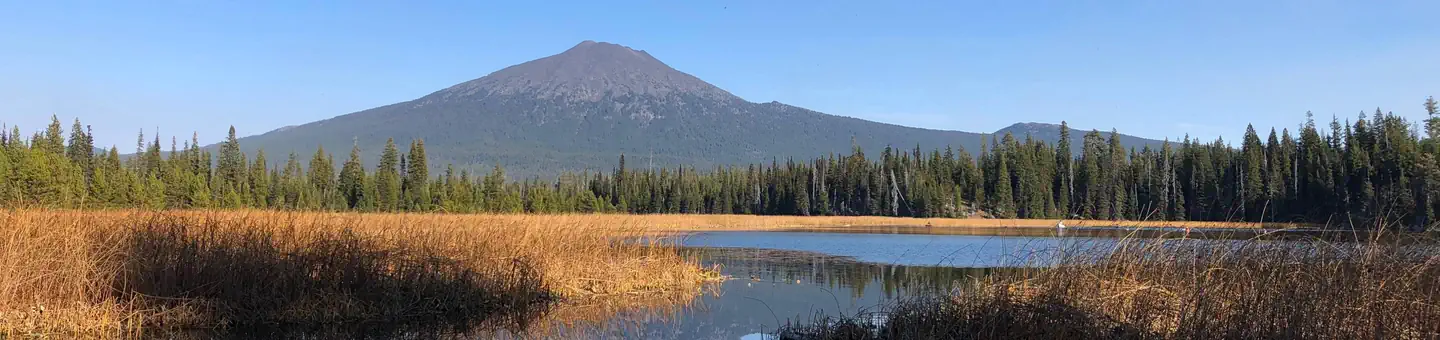 Mallard Marsh Campground
