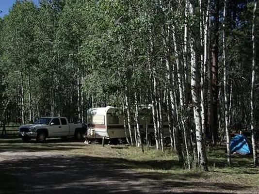GROUP, Loop: YELLOWSTONE GROUP CAMPGROUND
