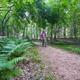Campspot slideshow image 5