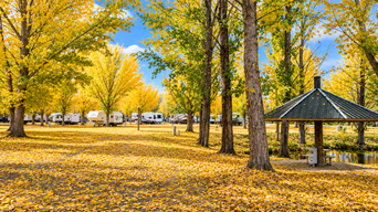 Uncompahgre River RV Park
