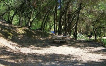 Image of a wooded campsite with a picnic table and natural setting; hosted on the property's Amenities/Campground pages and useful for showing typical campsite layout and surroundings.