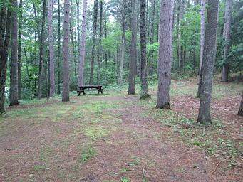 Little Bass Lake Campsites
