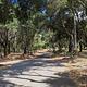 Kyen Campground Roads