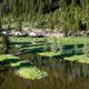 A tranquil lakeside village with wooden cabins lining the shore, evergreen trees in the background, and a calm reflective water body nearby.