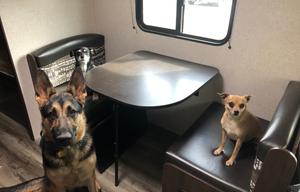 Furnished, stocked, and ready for an adventure!