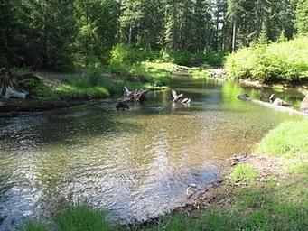 JIM CREEK GROUP CAMPGROUND