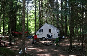 2015 Aliner Expedition Bee-Marv