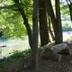Campspot slideshow image 5