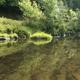 Siuslaw River 3