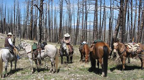 Deer Creek Cabin (MT)
