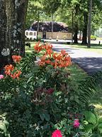 Memphis KOA Journey