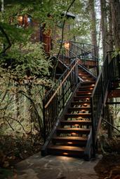 Iron & Vine Luxury Treehouse