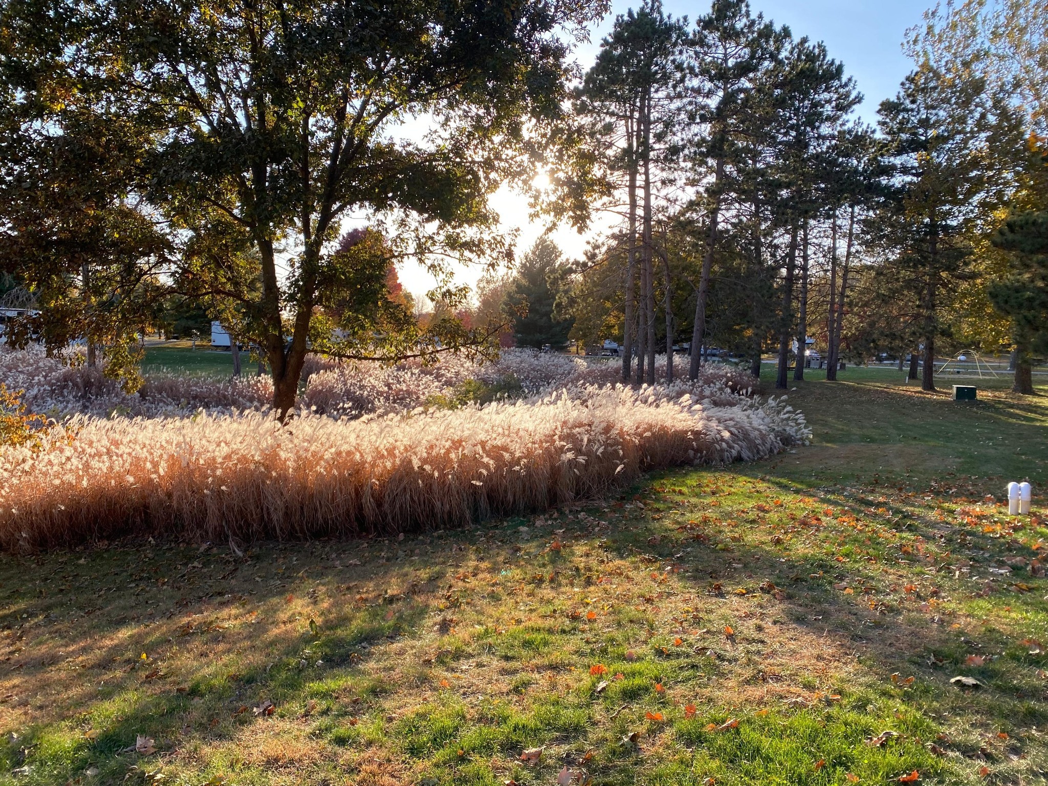 River Oaks RV Park