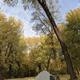 Campground image 1