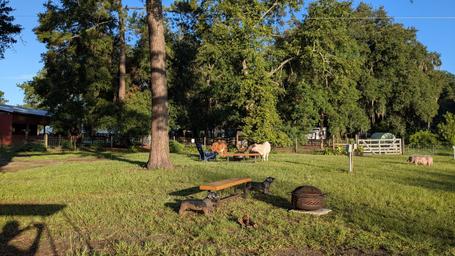 Rooterville Animal Sanctuary