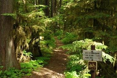 Iron Creek Campground