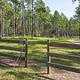 Campground image 1