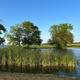 Pond and grounds panorama: wide view of the pond, shoreline and trees giving a sense of the campground’s scenery and layout (from Activities/gallery images).