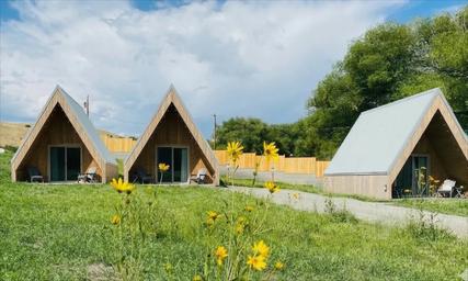 Three A-frame cabins with wood siding and metal roofs on a grassy hillside, yellow wildflowers in the foreground.