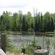 A view of the Au Sable River from the Au Sable Loop Day Use Area