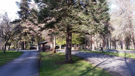 Campground image 4