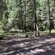 Quartzville Creek Group Camp