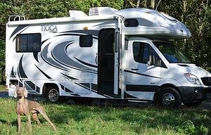 Pet Friendly Tioga Ranger