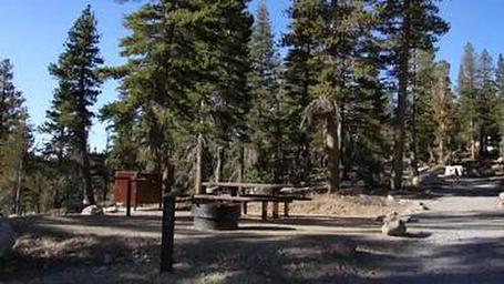 Mount Rose Campsite
