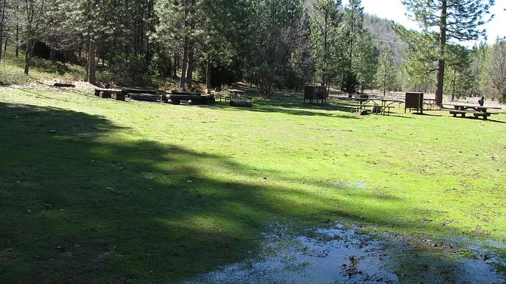 PGS, Loop: AREA PINES GROUP/STANISLAUS