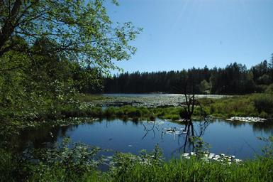 Lake Connor Park