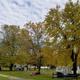 RVs among fall foliage at Brook N Wood