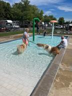 Regal Mountain Springs Camping Resort