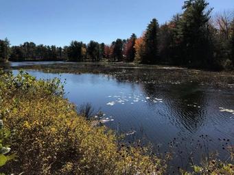 lake 4.jpg