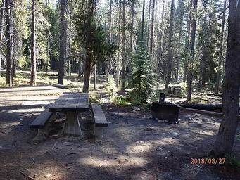 Lodgepole Campground (Washington)