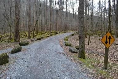 Big Creek Campground (Great Smoky Mountains National Park)