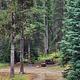 Fales Flat individual site in stock area of campground