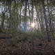 Campspot slideshow image 1