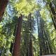 Spacious Shasta I-5–Sleeps 10 | Triple A/C & Bunks